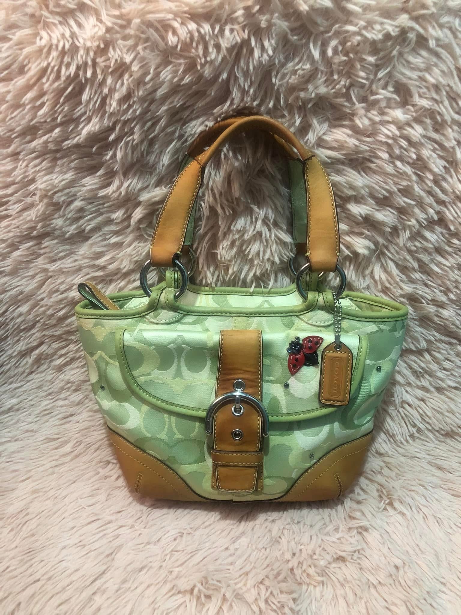 Coach Lady bug tote