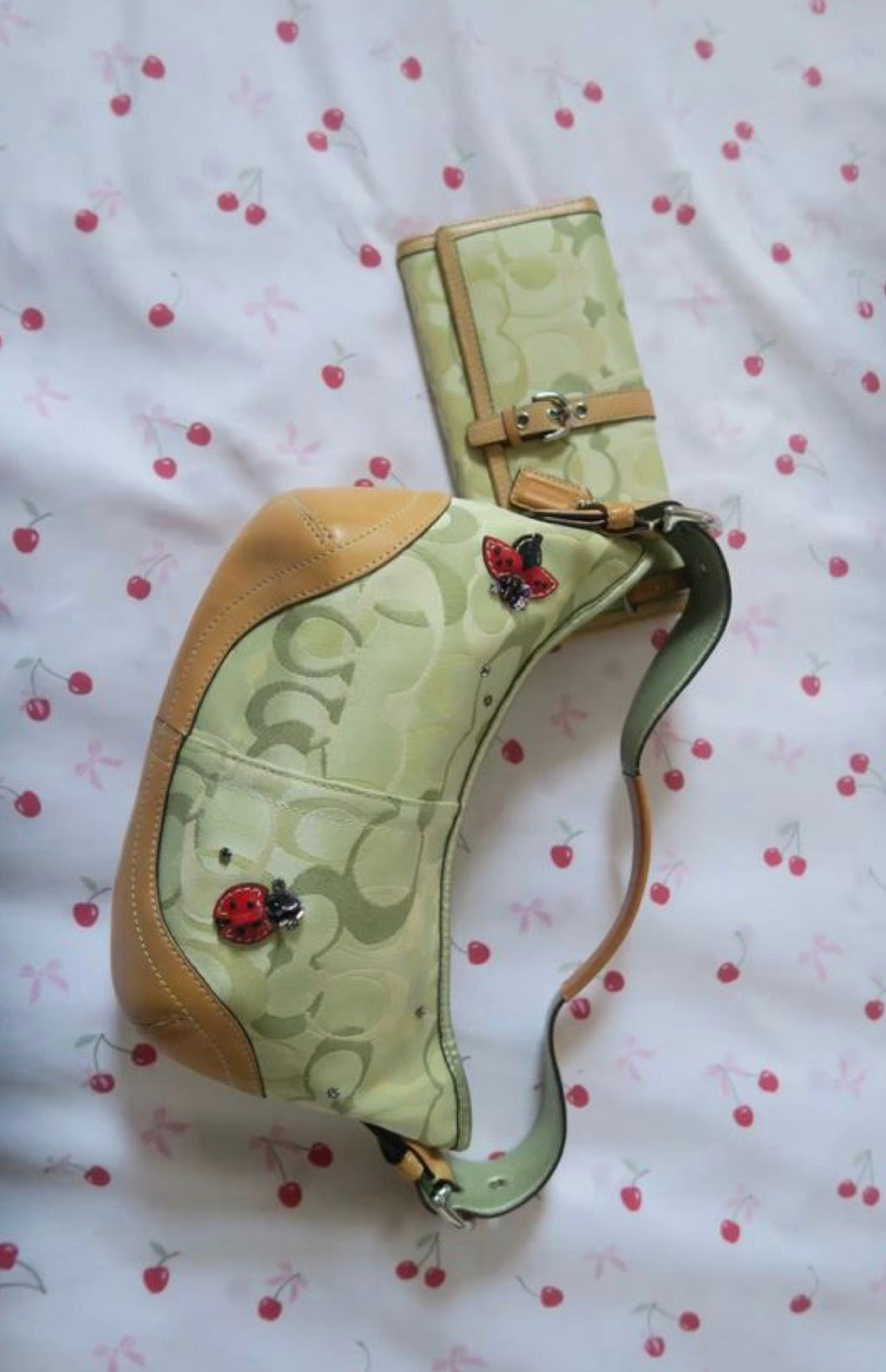 RARE Coach Ladybug 05